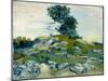 The Rocks, 1888 (Oil on Canvas)-Vincent van Gogh-Mounted Giclee Print