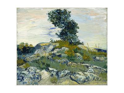 Van gogh rock Clearance