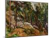 The Rocks in the Park of the Chateau Noir, 1898-1899-Paul Cézanne-Mounted Giclee Print