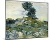 The Rocks-Vincent Van Gogh-Mounted Giclee Print