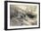 The Rocky Bank of a River - Verso: Sketch of Foliage, C.1853-John Ruskin-Framed Giclee Print