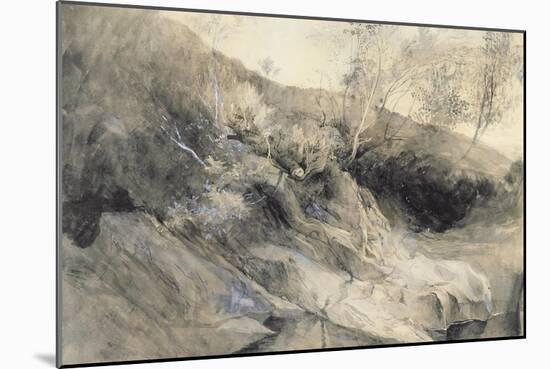 The Rocky Bank of a River - Verso: Sketch of Foliage, C.1853-John Ruskin-Mounted Giclee Print
