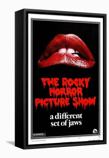 The Rocky Horror Picture Show, 1975-null-Framed Stretched Canvas