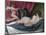 The Rokeby Venus-Diego Velazquez-Mounted Photographic Print