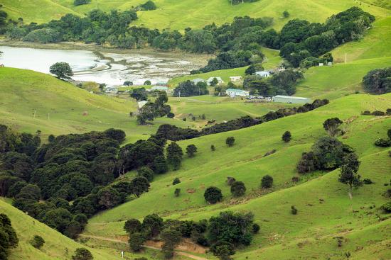 The Rolling Hills Of The Coromandel Peninsula On The North Island Of New Zealand Photographic Print Paul Dymond Art Com The Rolling Hills Of The Coromandel Peninsula On The North Island Of New Zealand Photographic Print Paul Dymond Art Com