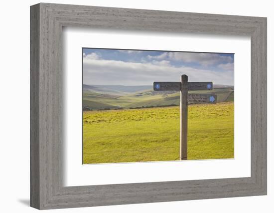 The Rolling Hills of the South Downs National Park Near to Brighton, Sussex, England, UK-Julian Elliott-Framed Photographic Print