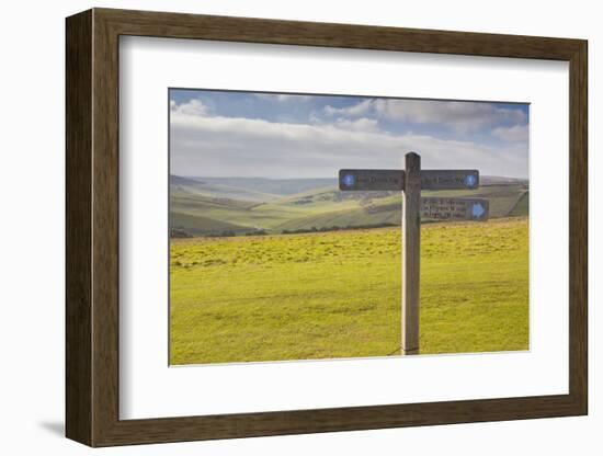 The Rolling Hills of the South Downs National Park Near to Brighton, Sussex, England, UK-Julian Elliott-Framed Photographic Print