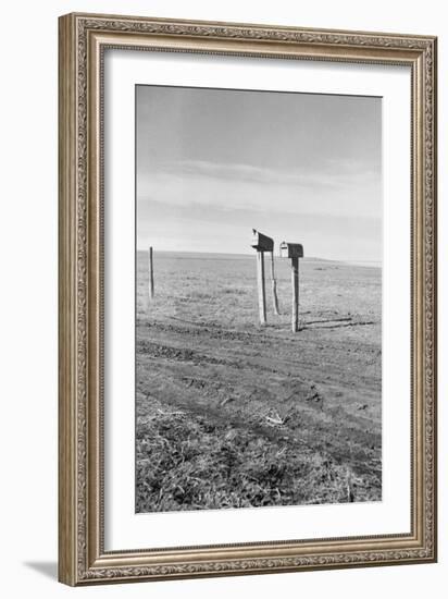 The Rolling Lands-Dorothea Lange-Framed Art Print