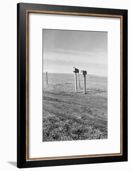 The Rolling Lands-Dorothea Lange-Framed Art Print