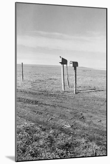 The Rolling Lands-Dorothea Lange-Mounted Art Print