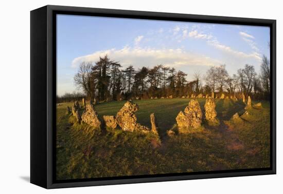 The Rollright Stones, a Bronze Age Stone Circle, Chipping Norton, Oxfordshire, Cotswolds, England-Stuart Black-Framed Premier Image Canvas