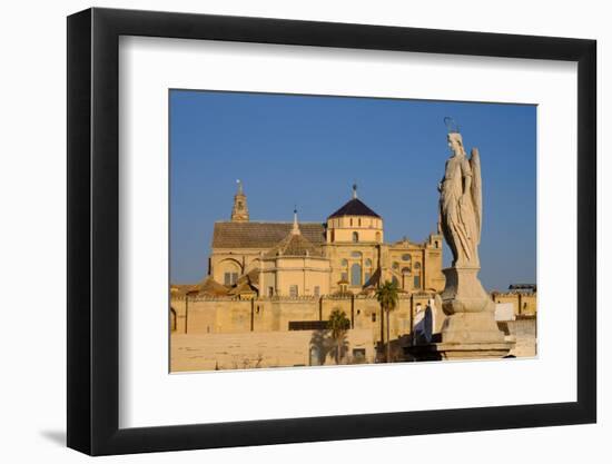 The Roman Bridge and the Mezquita Cathedral, Cordoba, Andalucia, Spain-Carlo Morucchio-Framed Photographic Print