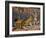 The Roman Emperor Commodus Fires an Arrow to Subdue a Leopard Which Has Escaped-Jan van der Straet-Framed Giclee Print