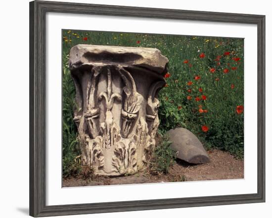 The Roman Forum in the Center of Ancient Rome, Italy-Connie Ricca-Framed Photographic Print