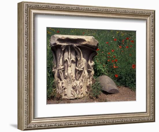 The Roman Forum in the Center of Ancient Rome, Italy-Connie Ricca-Framed Photographic Print