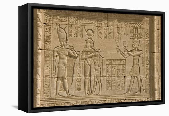 The Roman Mammisi, Dendera Necropolis, Qena, Nile Valley, Egypt, North Africa, Africa-Tony Waltham-Framed Premier Image Canvas