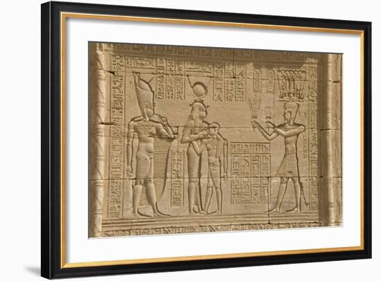 The Roman Mammisi, Dendera Necropolis, Qena, Nile Valley, Egypt, North Africa, Africa-Tony Waltham-Framed Photographic Print