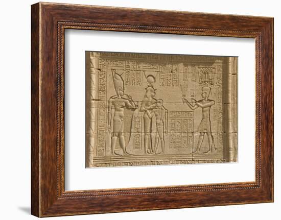 The Roman Mammisi, Dendera Necropolis, Qena, Nile Valley, Egypt, North Africa, Africa-Tony Waltham-Framed Photographic Print