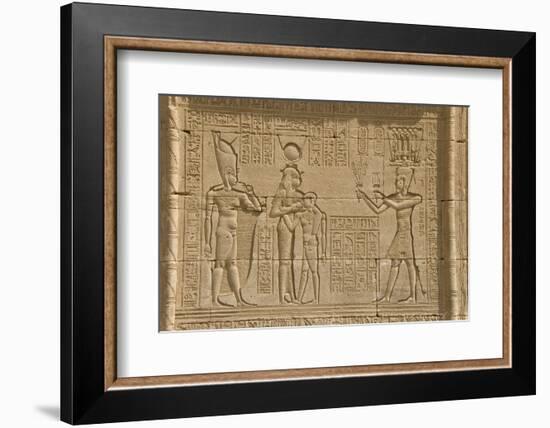 The Roman Mammisi, Dendera Necropolis, Qena, Nile Valley, Egypt, North Africa, Africa-Tony Waltham-Framed Photographic Print