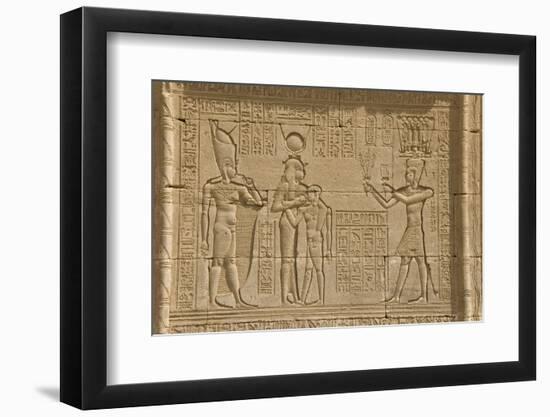 The Roman Mammisi, Dendera Necropolis, Qena, Nile Valley, Egypt, North Africa, Africa-Tony Waltham-Framed Photographic Print