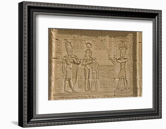 The Roman Mammisi, Dendera Necropolis, Qena, Nile Valley, Egypt, North Africa, Africa-Tony Waltham-Framed Photographic Print