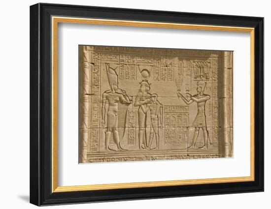 The Roman Mammisi, Dendera Necropolis, Qena, Nile Valley, Egypt, North Africa, Africa-Tony Waltham-Framed Photographic Print