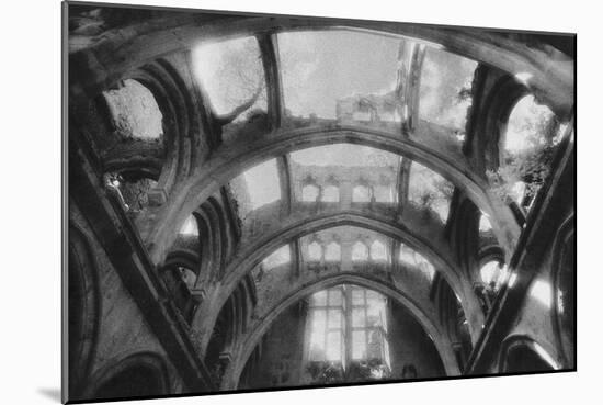 The Roof of the Main Hall, Dunboy Castle, County Cork, Ireland-Simon Marsden-Mounted Giclee Print