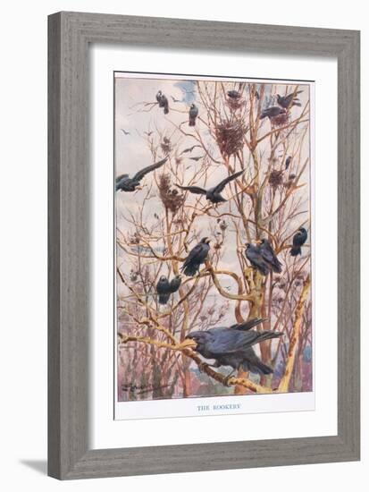 The Rookery, Illustration from 'Country Ways and Country Days'-Louis Fairfax Muckley-Framed Giclee Print