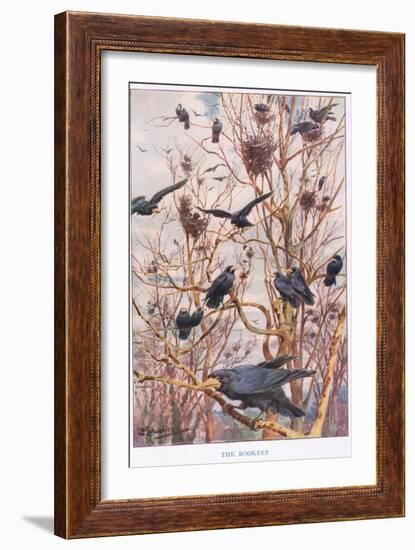 The Rookery, Illustration from 'Country Ways and Country Days'-Louis Fairfax Muckley-Framed Giclee Print