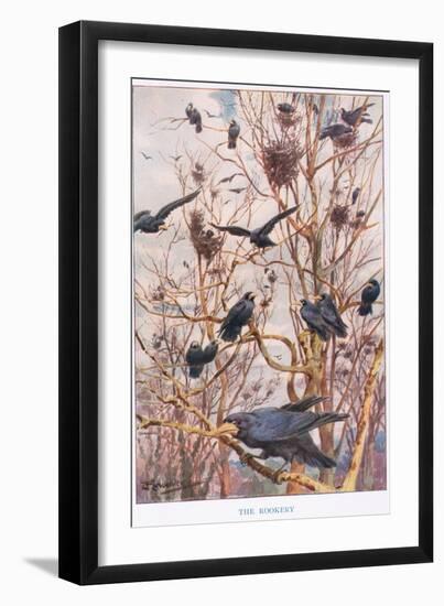 The Rookery, Illustration from 'Country Ways and Country Days'-Louis Fairfax Muckley-Framed Giclee Print