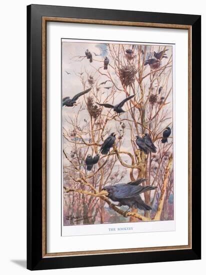 The Rookery, Illustration from 'Country Ways and Country Days'-Louis Fairfax Muckley-Framed Giclee Print