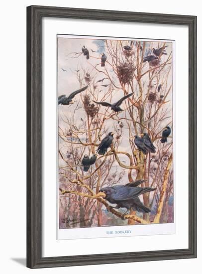 The Rookery, Illustration from 'Country Ways and Country Days'-Louis Fairfax Muckley-Framed Giclee Print