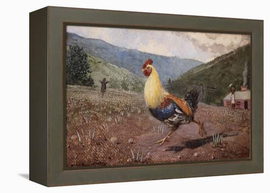 The Rooster, 1876 (W/C & Pencil on Wove Paper)-Winslow Homer-Framed Premier Image Canvas