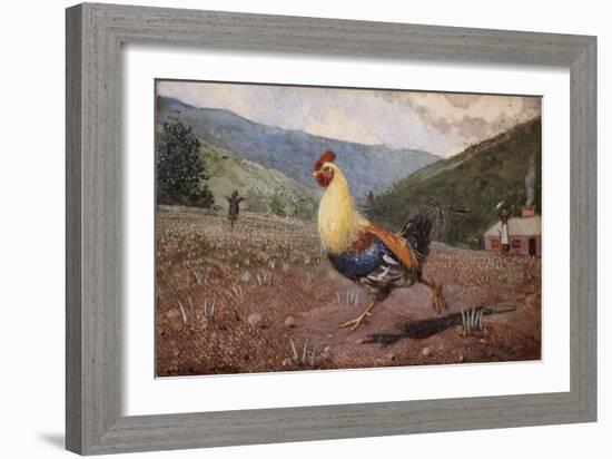 The Rooster, 1876 (W/C & Pencil on Wove Paper)-Winslow Homer-Framed Giclee Print