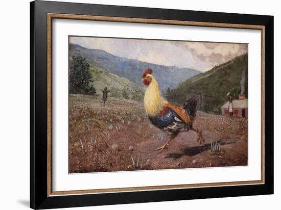 The Rooster, 1876 (W/C & Pencil on Wove Paper)-Winslow Homer-Framed Giclee Print