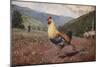 The Rooster, 1876 (W/C & Pencil on Wove Paper)-Winslow Homer-Mounted Giclee Print