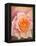 The Rose, 1999-Myung-Bo Sim-Framed Premier Image Canvas