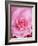 The Rose, 2001-Myung-Bo Sim-Framed Giclee Print