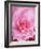 The Rose, 2001-Myung-Bo Sim-Framed Giclee Print