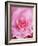 The Rose, 2001-Myung-Bo Sim-Framed Giclee Print