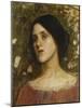 The Rose Bower-John William Waterhouse-Mounted Giclee Print