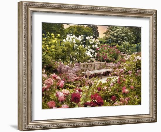 The Rose Garden-Jessica Jenney-Framed Giclee Print