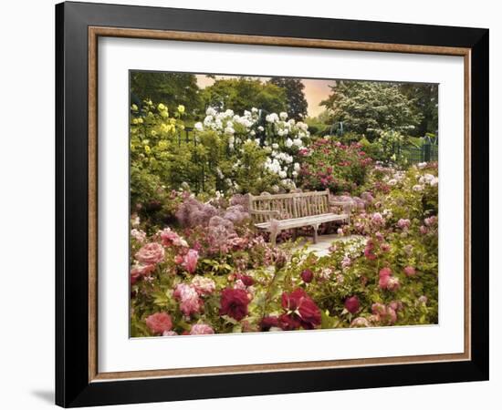 The Rose Garden-Jessica Jenney-Framed Giclee Print