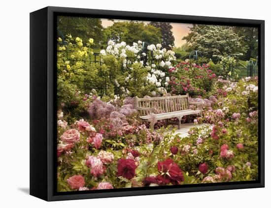 The Rose Garden-Jessica Jenney-Framed Premier Image Canvas