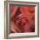 The Rose Maze-Dan Meneely-Framed Art Print