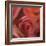 The Rose Maze-Dan Meneely-Framed Art Print