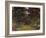 The Rose Path, 1920-22-Claude Monet-Framed Giclee Print