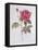 The Rose Rosa Gallica Officinalis-Pierre Joseph Redout?-Framed Premier Image Canvas