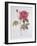 The Rose Rosa Gallica Officinalis-Pierre Joseph Redout?-Framed Giclee Print