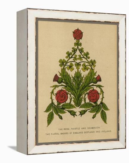 The Rose, Thistle and Shamrock. The Floral Badges of England, Scotland and Ireland-English School-Framed Premier Image Canvas